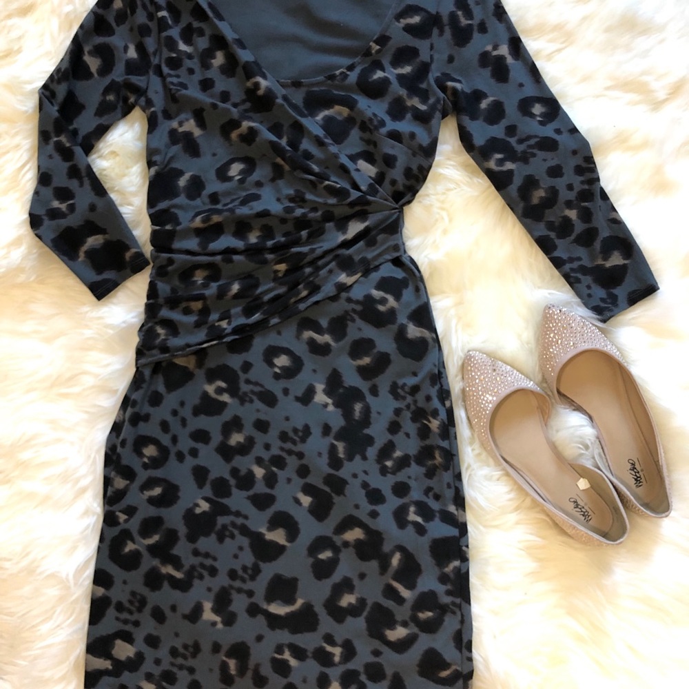 Ann Taylor Leopard Print Dress